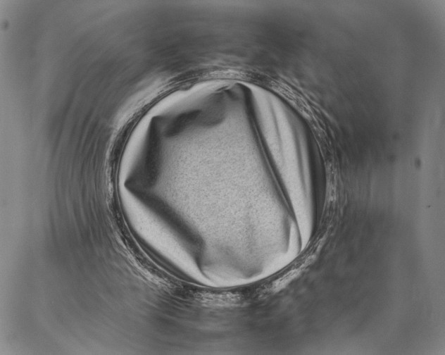 X0000087060245200705091207