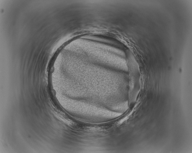 X0000087060246200705091207