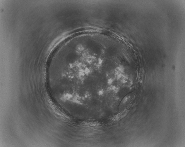 X0000087060247200705091207