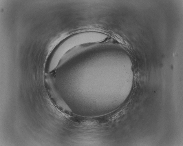 X0000087060248200705091207