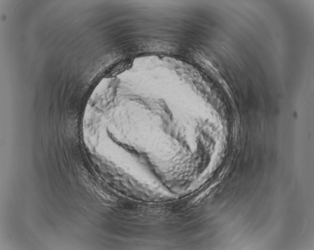 X0000087060249200705091207