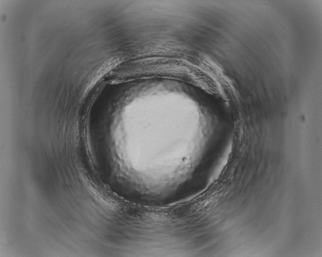 X0000087060250200705091207