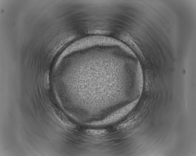 X0000087060251200705091207