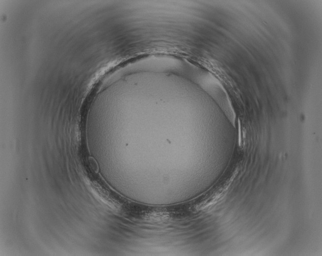 X0000087060252200705091208