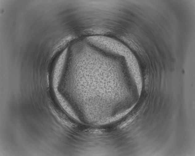 X0000087060254200705091208