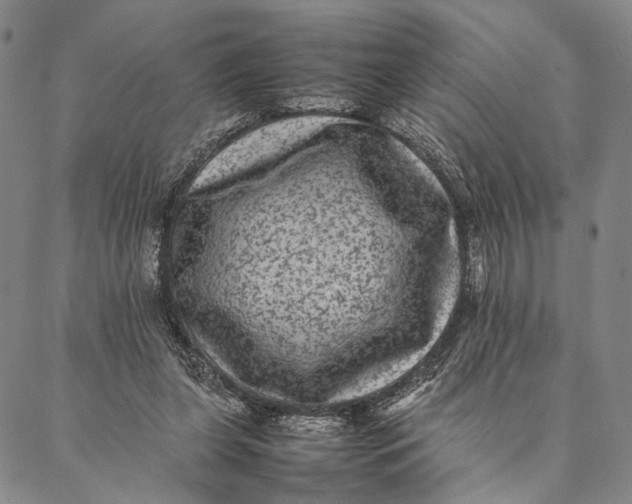 X0000087060255200705091208