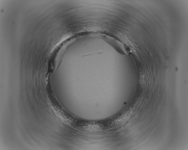 X0000087060256200705091208