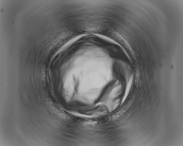 X0000087060257200705091208