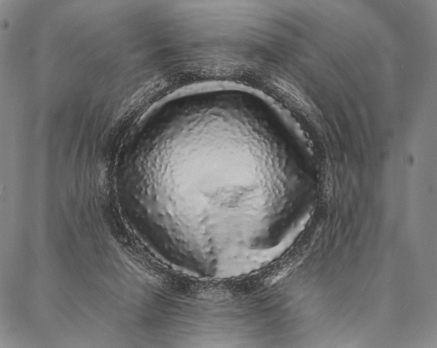 X0000087060258200705091208