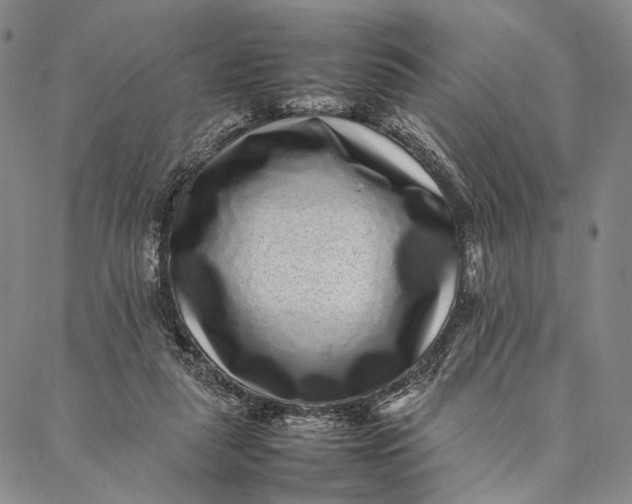 X0000087060259200705091208