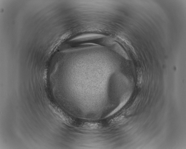 X0000087060260200705091208