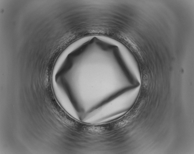 X0000087060261200705091208