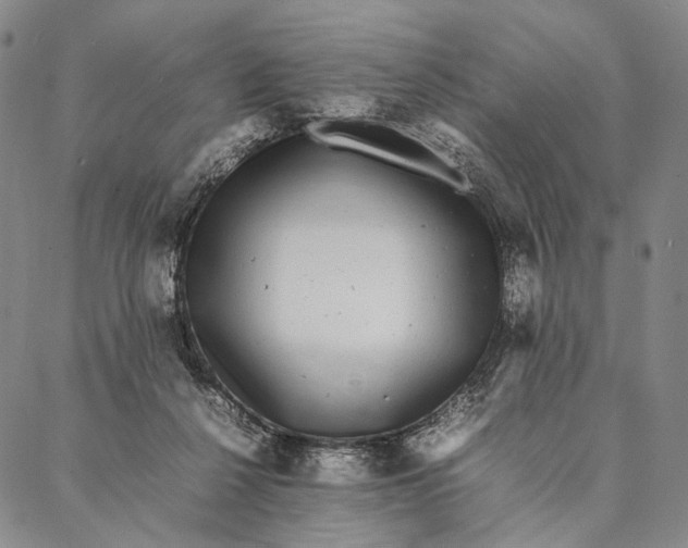 X0000087060264200705091208