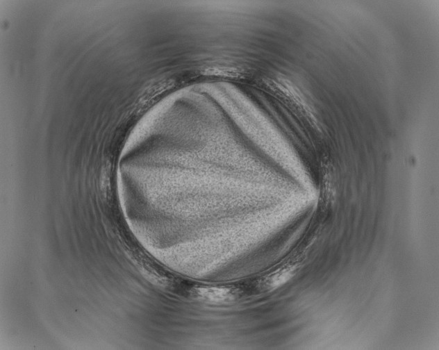 X0000087060265200705091208