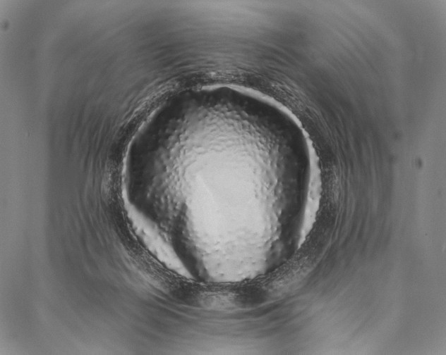 X0000087060266200705091208