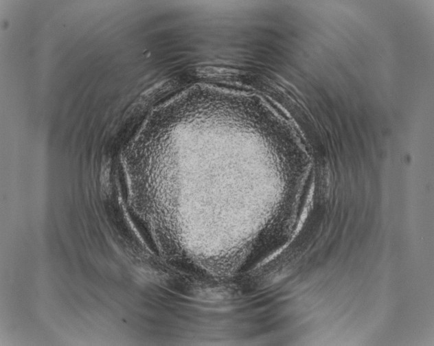 X0000087060267200705091208