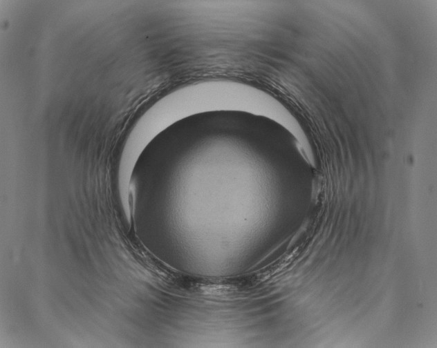 X0000087060268200705091208