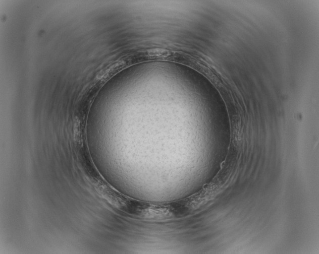 X0000087060270200705091208