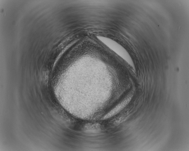 X0000087060271200705091208