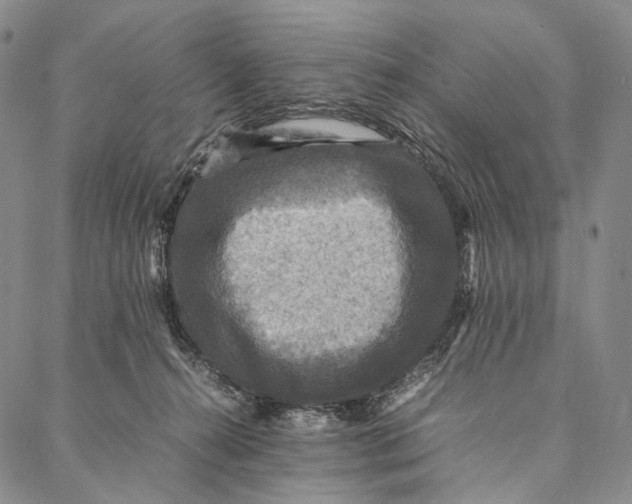 X0000087060272200705091208