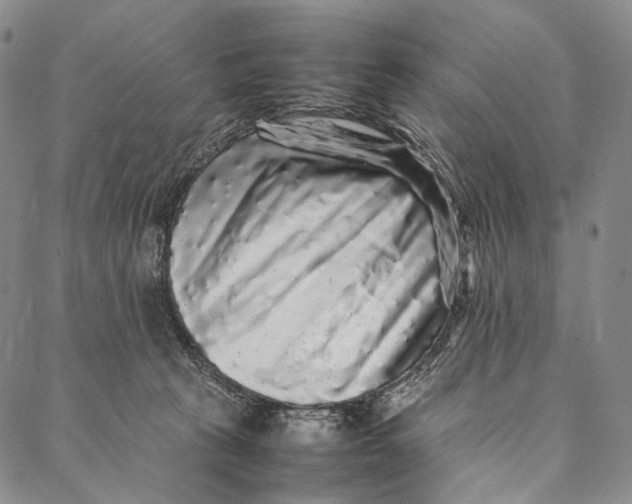 X0000087060273200705091208