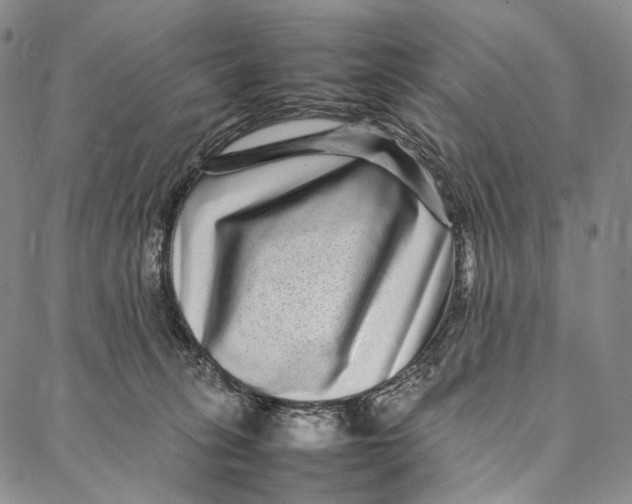 X0000087060275200705091208