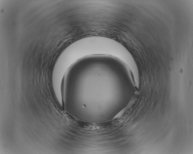 X0000087060276200705091208