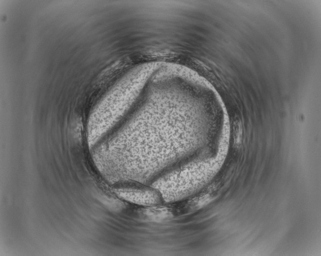 X0000087060279200705091208