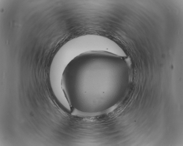 X0000087060280200705091208