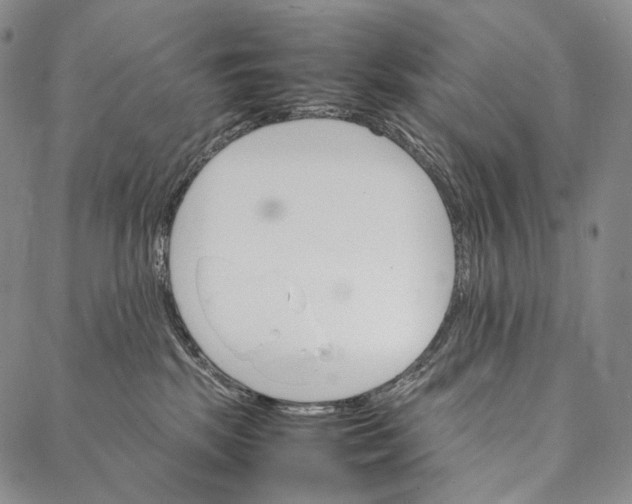 X0000087060281200705091208