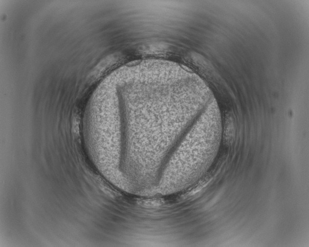 X0000087060282200705091208