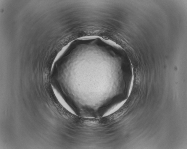 X0000087060283200705091208