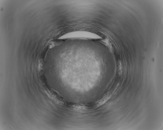 X0000087060284200705091208