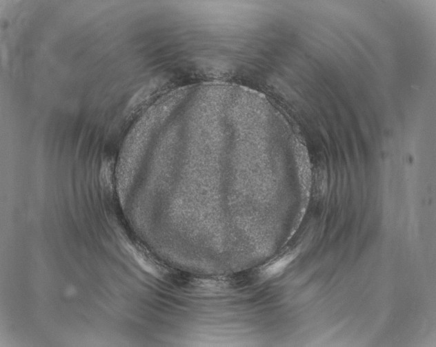 X0000087060286200705091208