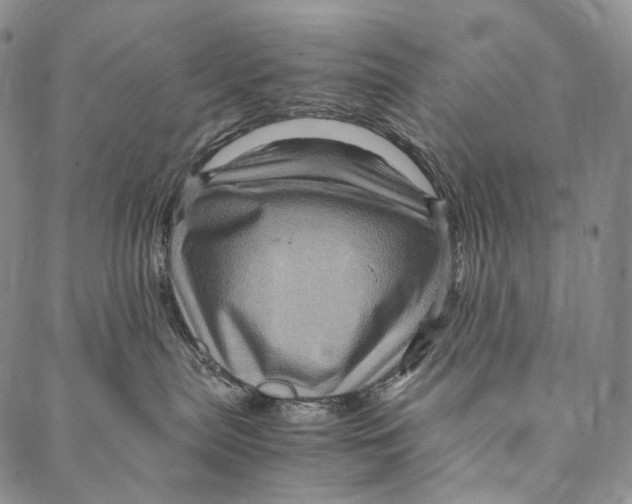 X0000087060287200705091208