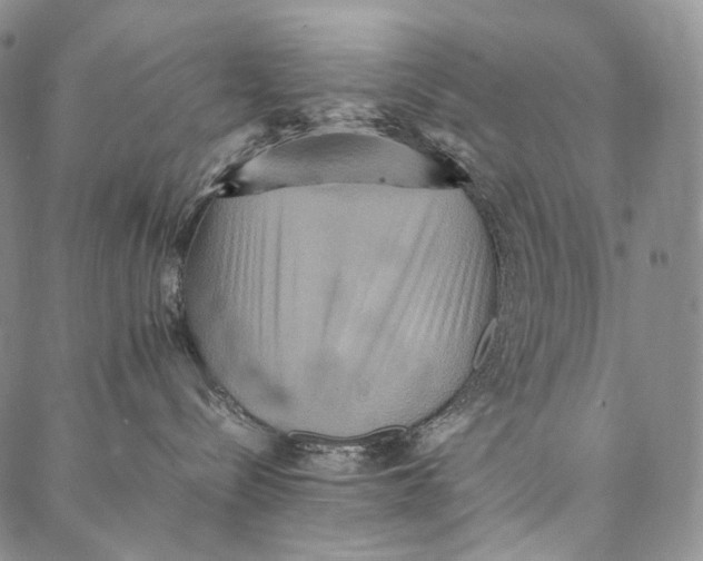 X0000087060288200705091208