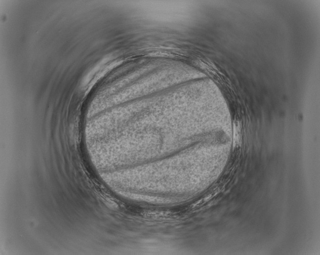 X0000087060291200705091207