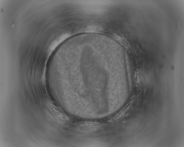 X0000087060292200705091207