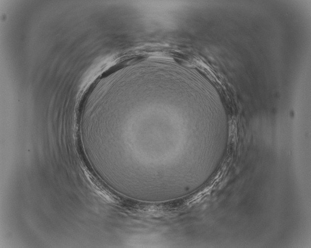 X0000087060293200705091207