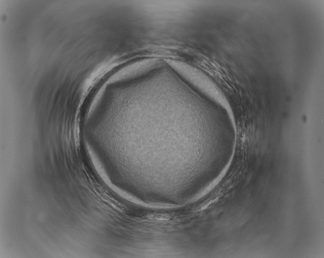 X0000087060294200705091207