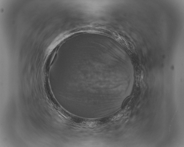 X0000087060295200705091207