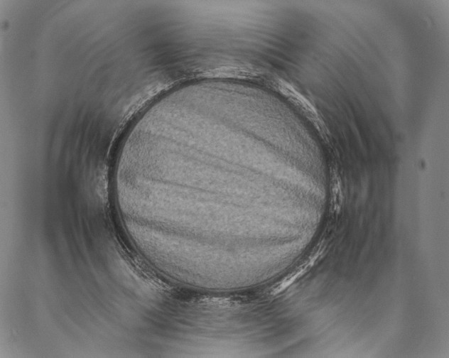 X0000087060298200705091207