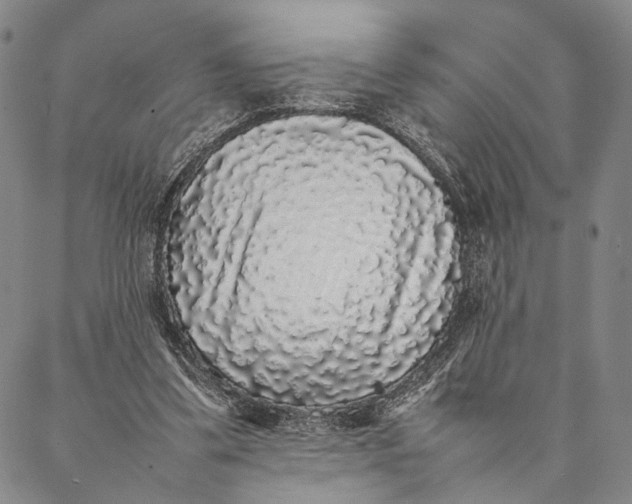 X0000087060299200705091207