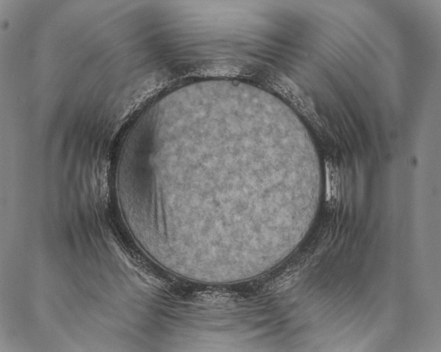 X0000087060300200705091207