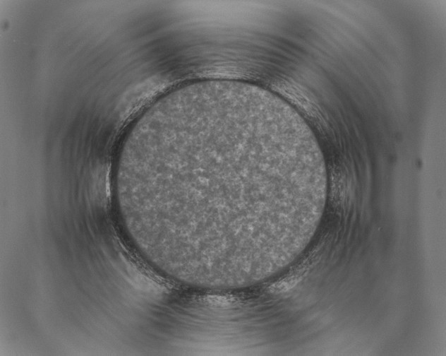 X0000087060302200705091207