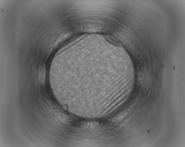 X0000087060304200705091207