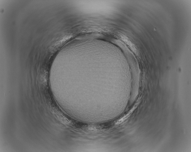 X0000087060305200705091207