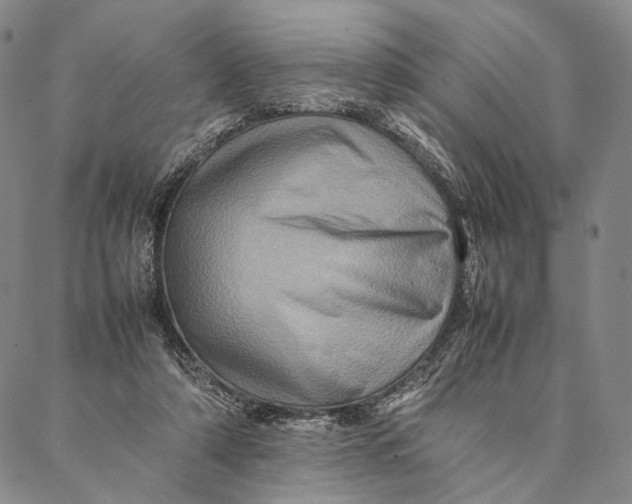 X0000087060306200705091207