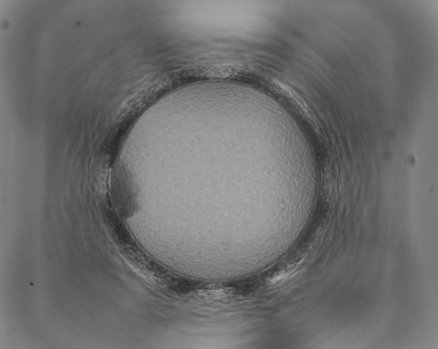 X0000087060307200705091207