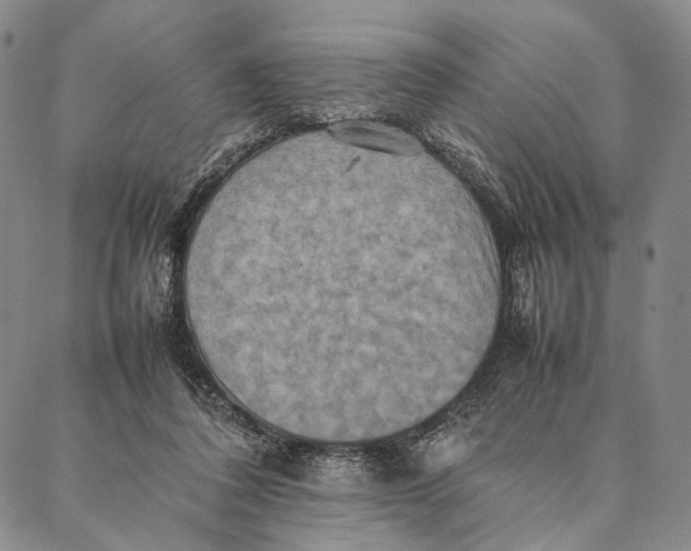 X0000087060308200705091207